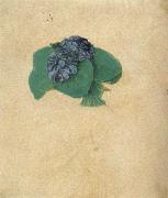 Albrecht Durer A Nosegay of Violets oil painting